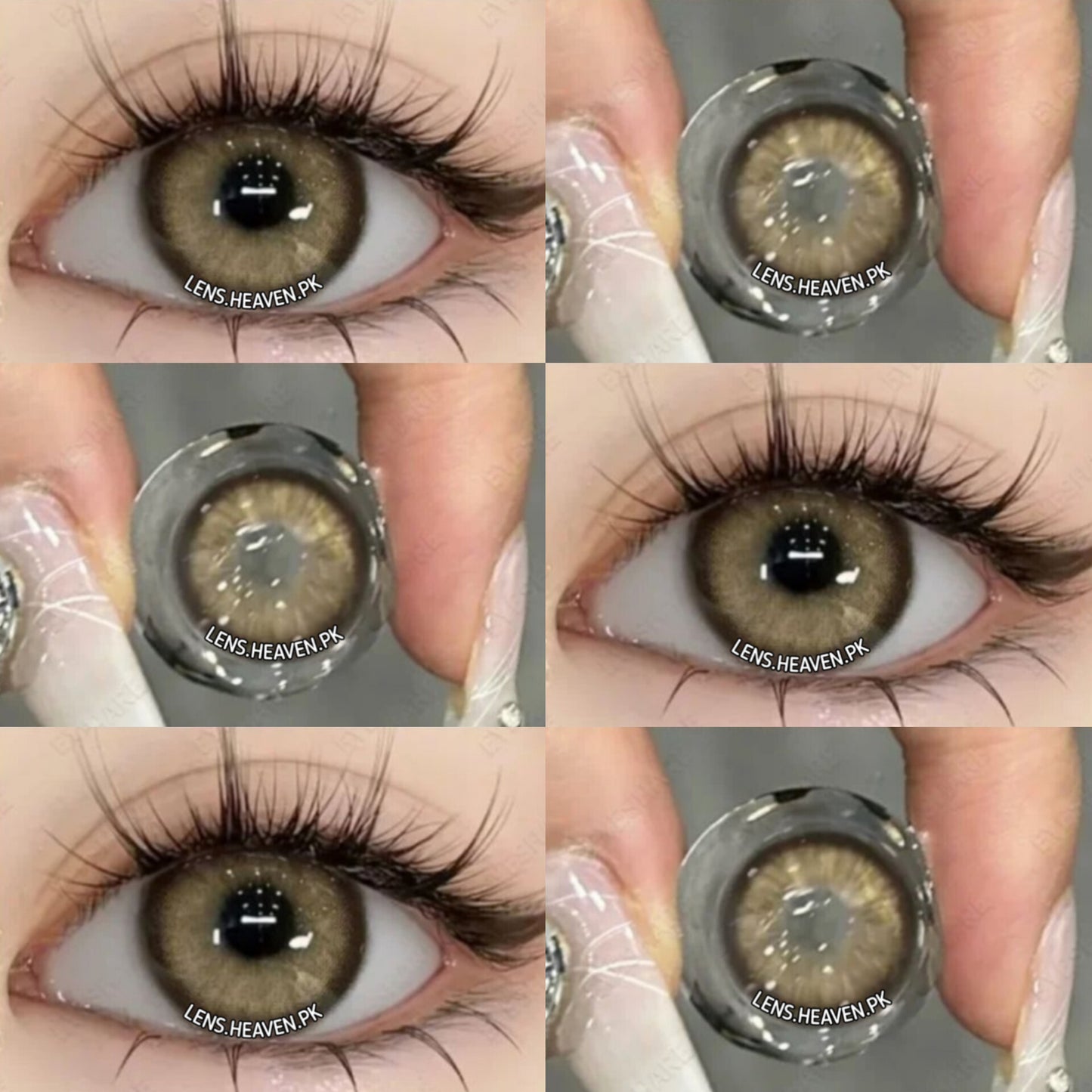 Dream Hazel