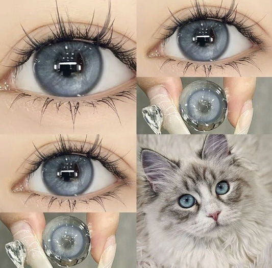 Cat Blue
